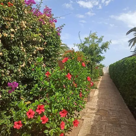 Apartment Meridiano Playa Devesses *